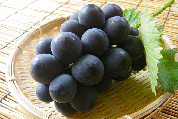 土方商店フルーツ